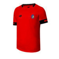 PE Kit 2024-2025 |House T-Shirt | Caffinite (Red)