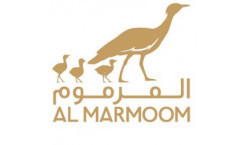 Al Marmoom