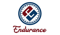 ENDURANCE BICYCLES